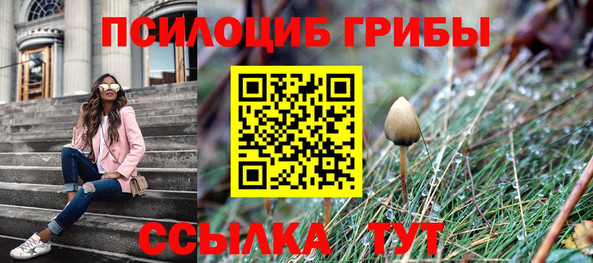 где можно купить   Галлюциногенные грибы мухоморы  Вход с VPN  Партизанск 
