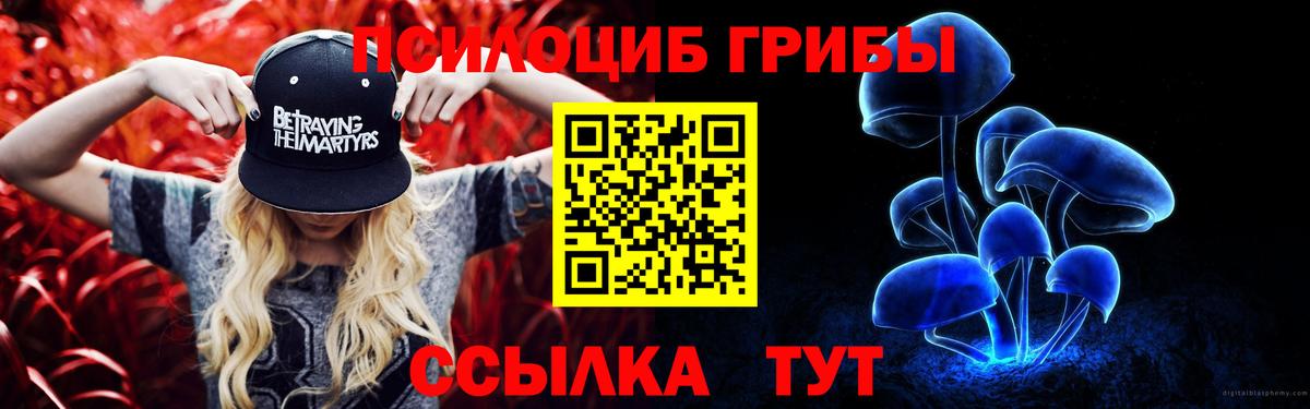 Псилоцибиновые грибы ЛСД Партизанск